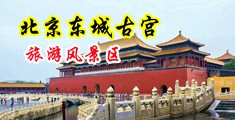 大鸡吧插逼里真美中国北京-东城古宫旅游风景区